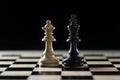 Two chess pieces, white queen and black king side by side on a chessboard against a dark background, concept for diversity, gender Royalty Free Stock Photo