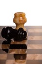 Two chessmans Royalty Free Stock Photo