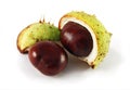 Two chestnuts