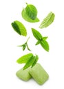 Two chewing gum with mint leaves Royalty Free Stock Photo