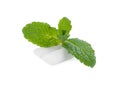 Two chewing gum pieces and mint on white Royalty Free Stock Photo