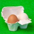 Two chicken brown and white eggs with cardboard eggbox and green fake grass background for easter macro Royalty Free Stock Photo