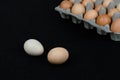 Two chicken eggs on black mat background with a carton box full of eggs Royalty Free Stock Photo