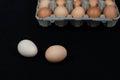 Two chicken eggs on black mat background with a carton box full of eggs Royalty Free Stock Photo