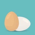 Two chicken eggs. Brown and white egg icon. Template for health theme. Breakfast flat design