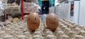 two chicken eggs decorated with smiling and sad faces