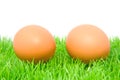 Two chicken eggs on grass Royalty Free Stock Photo