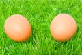 Two chicken eggs on grass Royalty Free Stock Photo