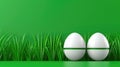 Two chicken eggs on a green background with grass, Easter card, banner Royalty Free Stock Photo