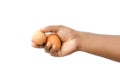 Two chicken eggs holding with an isolated male hand on white background Royalty Free Stock Photo