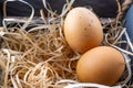 Two chicken eggs in the nest, close-up of domestic chicken eggs, fresh brown eggs Royalty Free Stock Photo