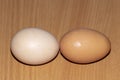 Two chicken eggs, one light, the other dark one after another Royalty Free Stock Photo
