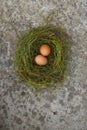 Two Chicken eggs Styled in a grass basket on a stained concrete background