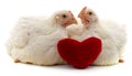 Two chickens and a heart