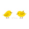 Two chickens peck at the grain. Simple yellow little birds. A symbol of spring, Easter, and farming. Children`s, cartoon Royalty Free Stock Photo