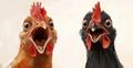 Two chickens are standing closely together, directly facing the camera Royalty Free Stock Photo