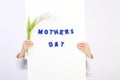 Two childhood hands holding white board with blue text Mothers day and one white and violet tulip Royalty Free Stock Photo