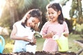 Two children asian girl plant seedling young tree