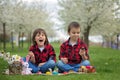 Two children, boy brothers, eating chocolate bunnies and having Royalty Free Stock Photo