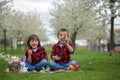 Two children, boy brothers, eating chocolate bunnies and having Royalty Free Stock Photo