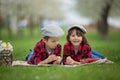 Two children, boy brothers, reading a book and eating strawberries in the park Royalty Free Stock Photo