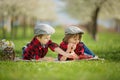 Two children, boy brothers, reading a book and eating strawberries in the park Royalty Free Stock Photo