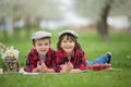 Two children, boy brothers, reading a book and eating strawberries in the park Royalty Free Stock Photo