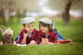 Two children, boy brothers, reading a book and eating strawberries in the park Royalty Free Stock Photo