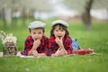 Two children, boy brothers, reading a book and eating strawberries in the park Royalty Free Stock Photo