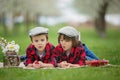 Two children, boy brothers, reading a book and eating strawberries in the park Royalty Free Stock Photo