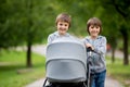 Two children, boys, pushing stroller with little baby Royalty Free Stock Photo