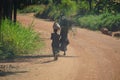 Two children carry branches and bag as walk down dusty road