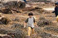 two children cross seaweed on a rocky beach. Royalty Free Stock Photo