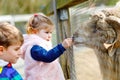 Two children cute toddler girl and school kid boy feeding little goats and sheeps on a kids farm. Happy healthy siblings Royalty Free Stock Photo