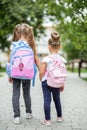Two children go to school with backpacks. The concept of school, study, education, friendship, childhood.