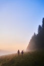 Two children going for a walk on a foggy morning among the trees. View in the Beskid Hills in Poland Royalty Free Stock Photo