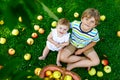 Two children picking apples on a farm in early autumn. Little baby girl and boy playing in apple tree orchard. Kids pick Royalty Free Stock Photo