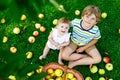 Two children picking apples on a farm in early autumn. Little baby girl and boy playing in apple tree orchard. Kids pick Royalty Free Stock Photo