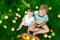 Two children picking apples on a farm in early autumn. Little baby girl and boy playing in apple tree orchard. Kids pick Royalty Free Stock Photo