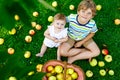 Two children picking apples on a farm in early autumn. Little baby girl and boy playing in apple tree orchard. Kids pick Royalty Free Stock Photo