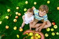 Two children picking apples on a farm in early autumn. Little baby girl and boy playing in apple tree orchard. Kids pick Royalty Free Stock Photo