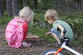 Two children playing in a forest. Kids looking on a small insects