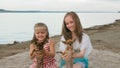 Two children playing which dogs on the sand on the beach. Royalty Free Stock Photo