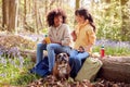 Two Children Walking Pet Dog Through Bluebell Woods In Springtime Taking A Break Sitting On Log Royalty Free Stock Photo