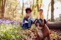 Two Children Walking Pet Dog Through Bluebell Woods In Springtime Taking A Break Sitting On Log Royalty Free Stock Photo