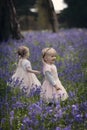 Two children in a wood filled with spring bluebells Royalty Free Stock Photo