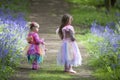 Two children on a woodland walk in spring