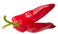 Two chilli peppers Royalty Free Stock Photo