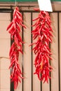 Two Chilli Strings Royalty Free Stock Photo
