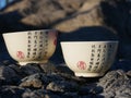 Two chinese cups with chinese characters in a natural environment